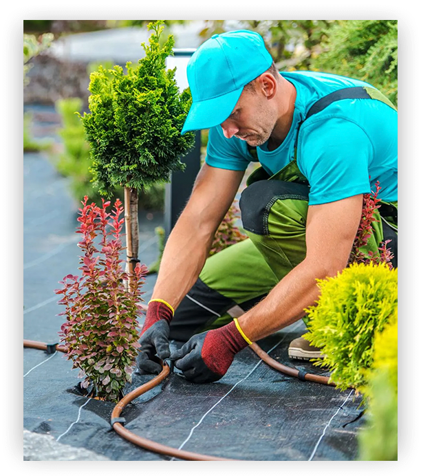Landscape worker installing irrigation