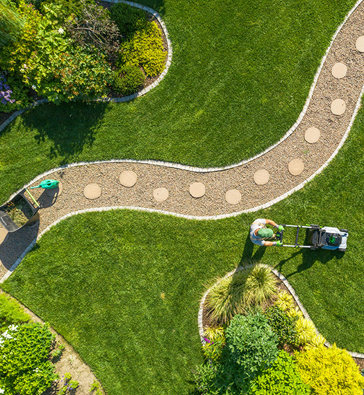 landscape-workers Tree shrub care